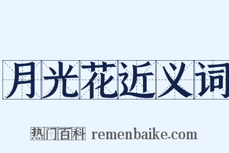 月光花近义词是什么意思的图片